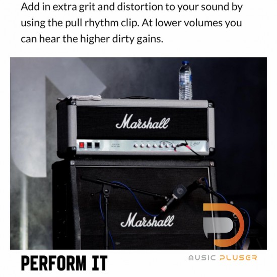 Marshall 2555X Silver Jubilee Head Marshall 2555X Silver Jubilee Head