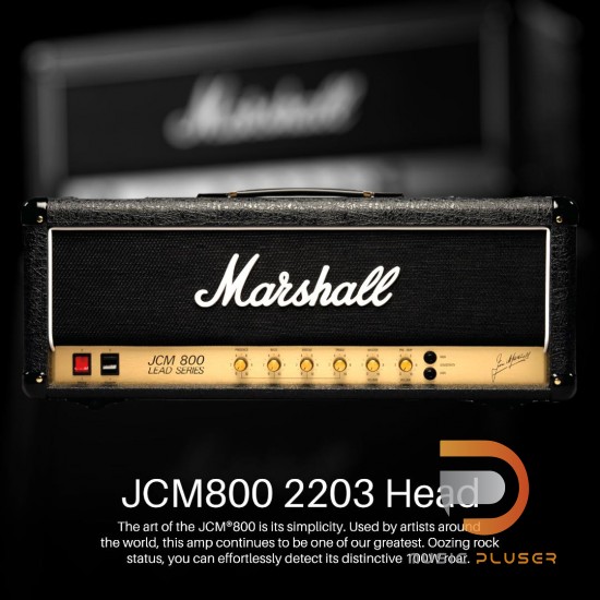 Marshall JCM800 2203 Head