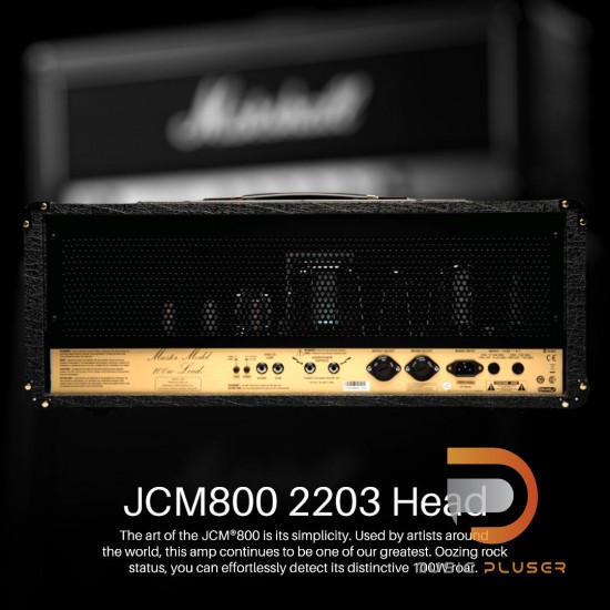 Marshall JCM800 2203 Head