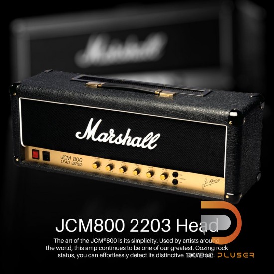 Marshall JCM800 2203 Head