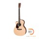 MARTIN GPCX1-RAE – LEFT HAND MARTIN GPCX1-RAE – LEFT HAND