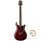 PRS Custom 24 "Floyd" PRS Custom 24 "Floyd"