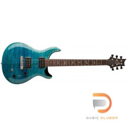 PRS SE Paul's Guitar