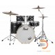 Pearl Export EXX