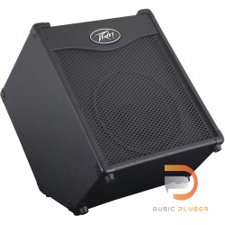 Peavey MAX 110