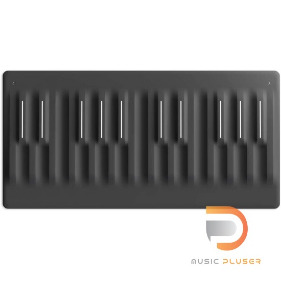 ROLI Seaboard Block