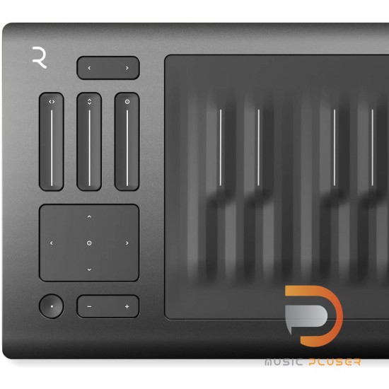 ROLI Seaboard Rise 25 ROLI Seaboard Rise 25