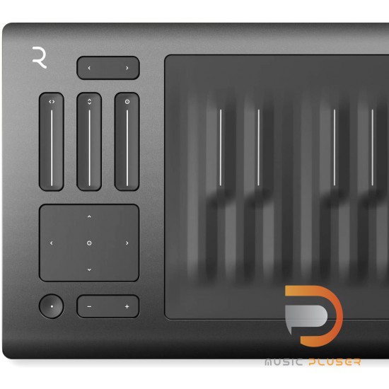 ROLI Seaboard Rise 25