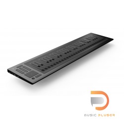 ROLI Seaboard Rise 49