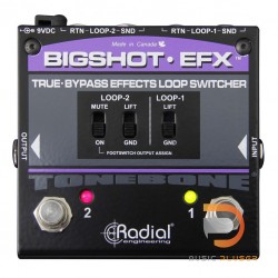 Radial Bigshot EFX Effects Loop Switcher
