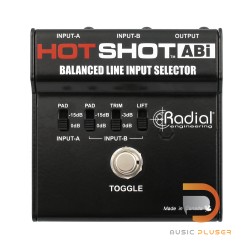 Radial HotShot ABi Balanced Input Selector