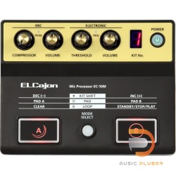 Roland EC-10M ELCajon Mic Processor