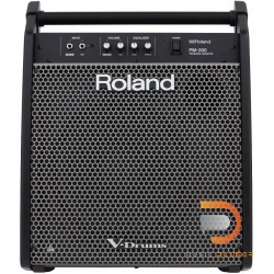 Roland PM-200 Personal Monitor