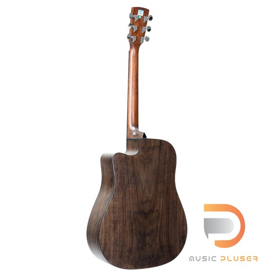 Saga SF800C Acoustic Guitar Saga SF800C Acoustic Guitar