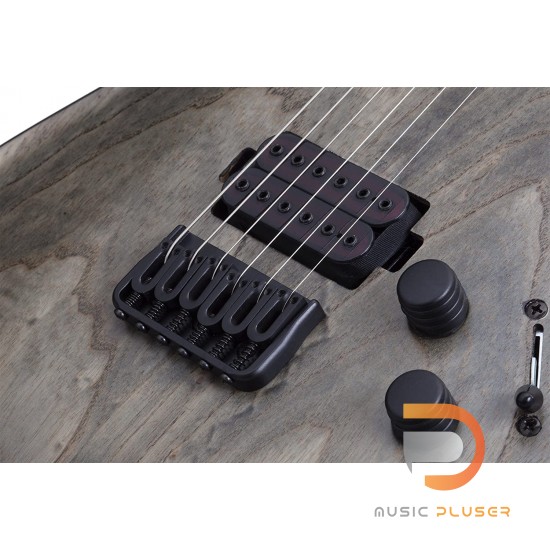 Schecter C-1 Apocalypse Schecter C-1 Apocalypse