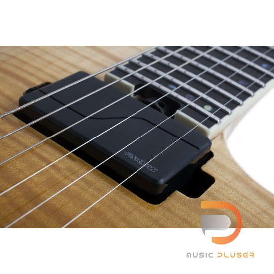 Schecter C-1 SLS Elite Schecter C-1 SLS Elite