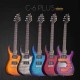 Schecter C-6 Plus