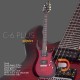 Schecter C-6 Plus Schecter C-6 Plus