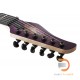Schecter C-6 Pro Schecter C-6 Pro