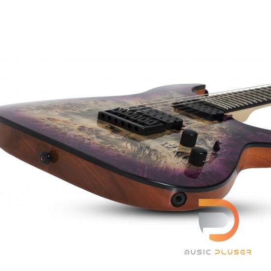 Schecter C-6 Pro Schecter C-6 Pro