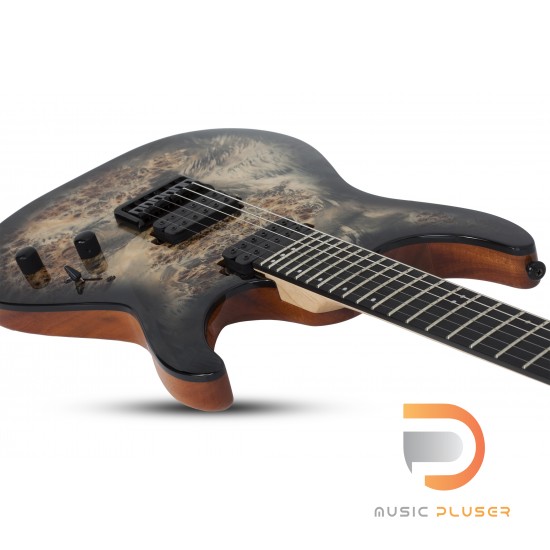 Schecter C-6 Pro Schecter C-6 Pro