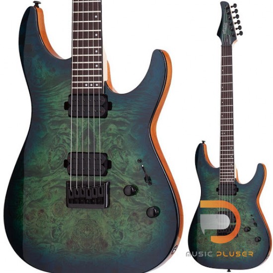 Schecter C-6 Pro Schecter C-6 Pro