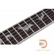 Schecter Damien Platinum 6 FR Sustainiac Schecter Damien Platinum 6 FR Sustainiac