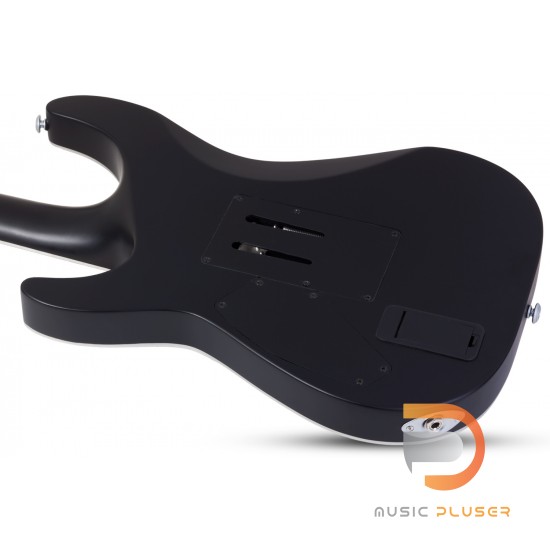 Schecter Damien Platinum 6 FR Schecter Damien Platinum 6 FR