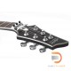 Schecter Damien Platinum 6 FR Schecter Damien Platinum 6 FR