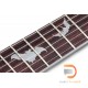Schecter Damien Platinum 6 Schecter Damien Platinum 6
