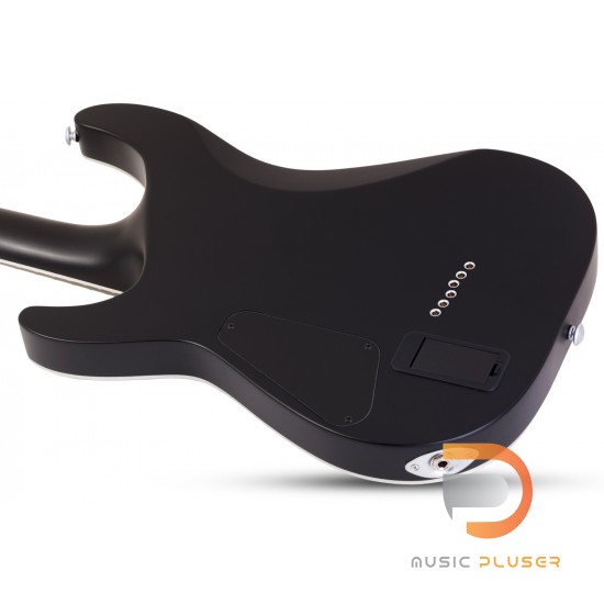 Schecter Damien Platinum 6 Schecter Damien Platinum 6