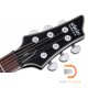 Schecter Damien Platinum 6 Schecter Damien Platinum 6