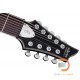 Schecter Damien Platinum-9 Schecter Damien Platinum-9