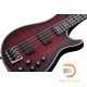 Schecter Hellraiser Extreme 4