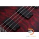 Schecter Hellraiser Extreme 4