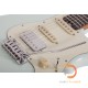 Schecter Nick Johnston Traditional HSS Schecter Nick Johnston Traditional HSS