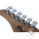 Schecter Nick Johnston Traditional Schecter Nick Johnston Traditional