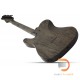 Schecter PT Apocalypse Schecter PT Apocalypse