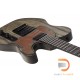 Schecter PT Apocalypse Schecter PT Apocalypse