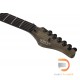 Schecter PT Apocalypse Schecter PT Apocalypse