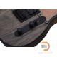 Schecter PT Apocalypse Schecter PT Apocalypse