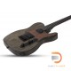 Schecter PT Apocalypse Schecter PT Apocalypse
