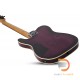Schecter PT Pro 2020 Schecter PT Pro 2020