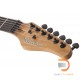 Schecter PT Pro 2020 Schecter PT Pro 2020