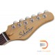 Schecter PT Special Schecter PT Special