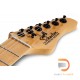 Schecter PT Schecter PT