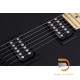 Schecter PT Schecter PT