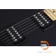 Schecter PT