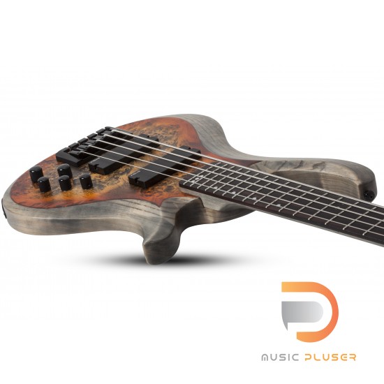 Schecter Riot-5 Bass