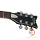 Schecter Solo-II Platinum Schecter Solo-II Platinum